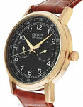 Citizen Eco-Drive Mens Day/Date Strap Watch - Black Dial and Rose Gold-Tone Case - AO9003-08EA