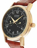 Citizen Eco-Drive Mens Day/Date Strap Watch - Black Dial and Rose Gold-Tone Case - AO9003-08EA