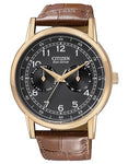 Citizen Eco-Drive Mens Day/Date Strap Watch - Black Dial and Rose Gold-Tone Case - AO9003-08E